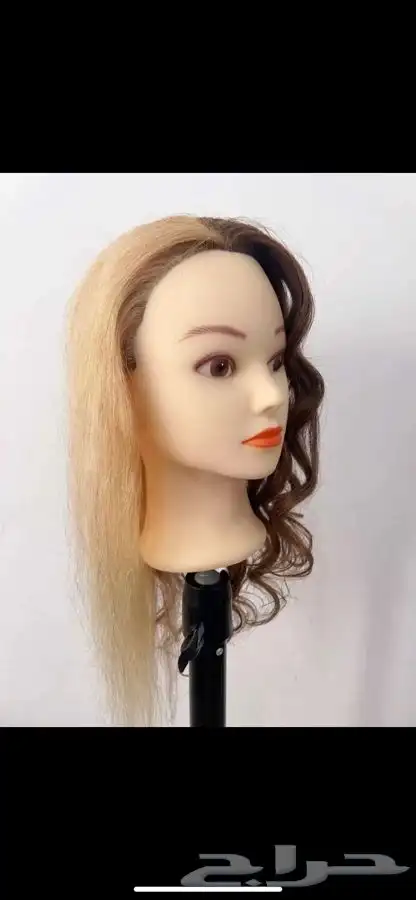 ملكان شعر للتدريب والتعليم 2
