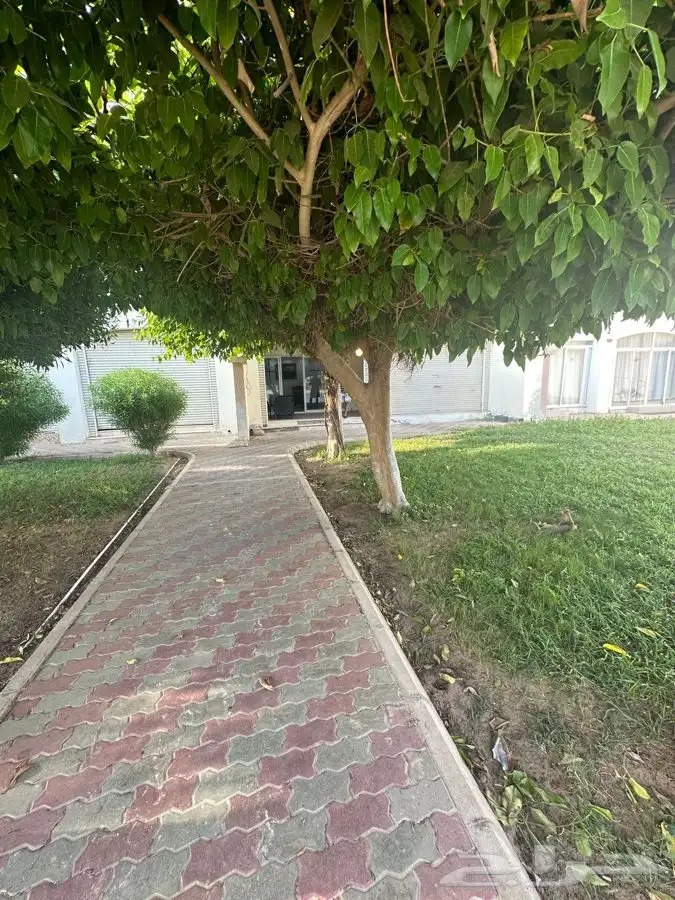 شاليه منتجع درة العروس على البحر مباشرة 11