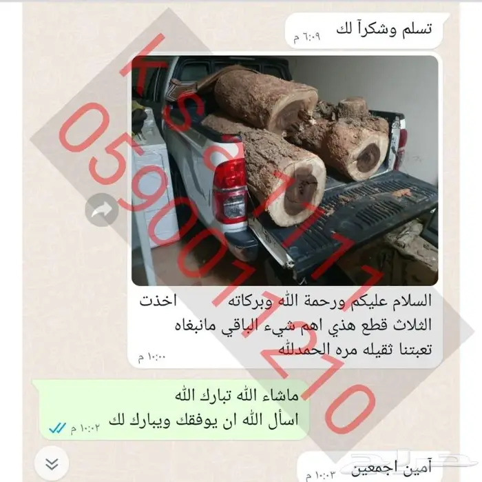 منشار حطب وحش بمعنى الكلمة 4