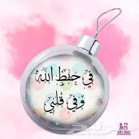 اكسسورات سيارة 30