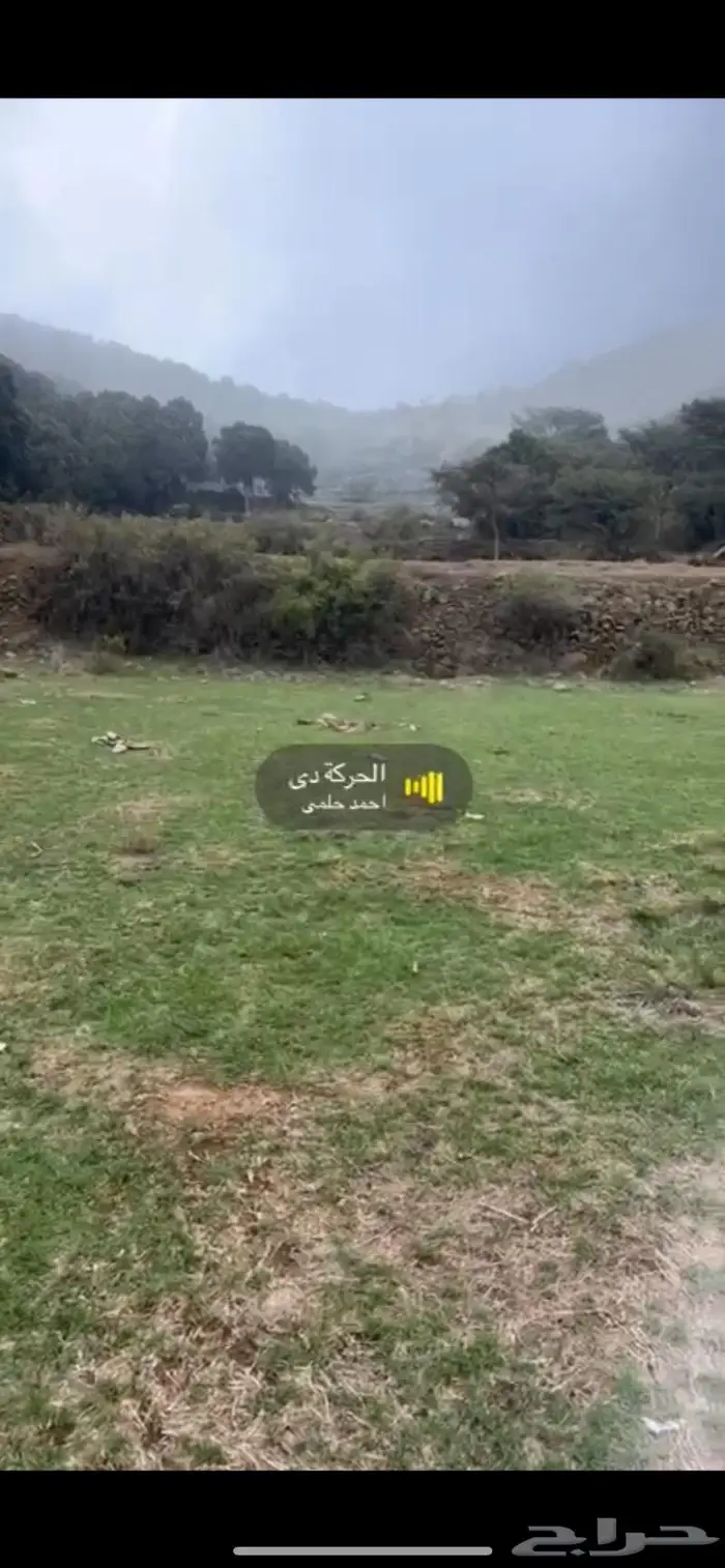 مرشد سياحي ابها 2