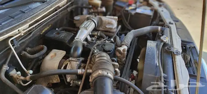ديماكس LS 2012 غمارتين 10