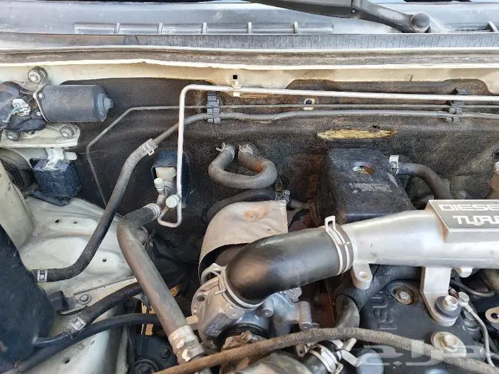 ديماكس LS 2012 غمارتين 43
