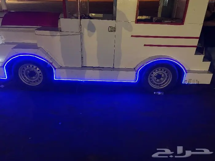 قطار حديقه 0