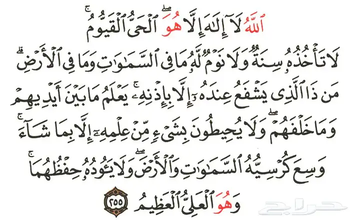 معلمة ابتدائي تاسيس اطفال 0