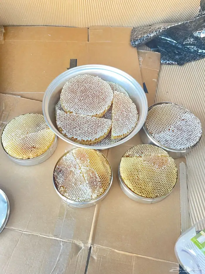 العسل السدر اليميني الاصلي 2