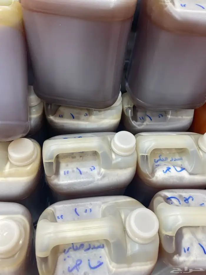 العسل السدر اليميني الاصلي 0