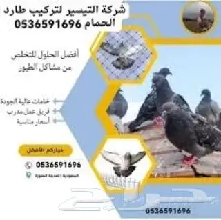 شركة مكافحة الحمام بتبوك 2