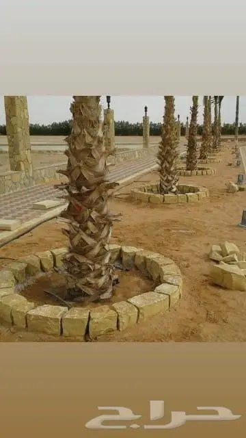 جميع انواع انخيل 0