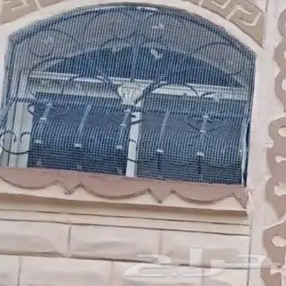 شركة مكافحة الحمام بتبوك 8