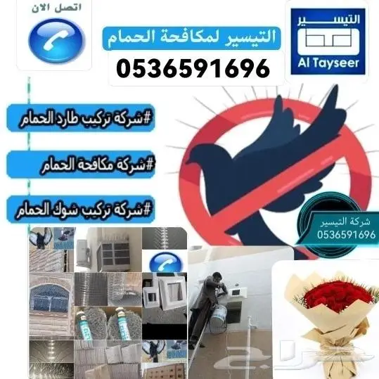 شركة مكافحة الحمام بتبوك 11