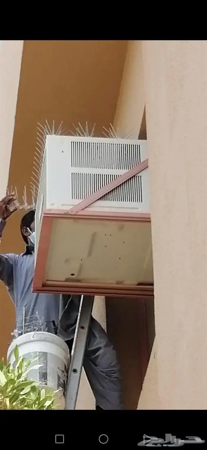 شركة مكافحة الحمام بتبوك 20