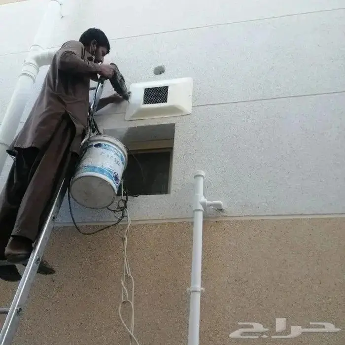 شركة مكافحة الحمام بتبوك 14