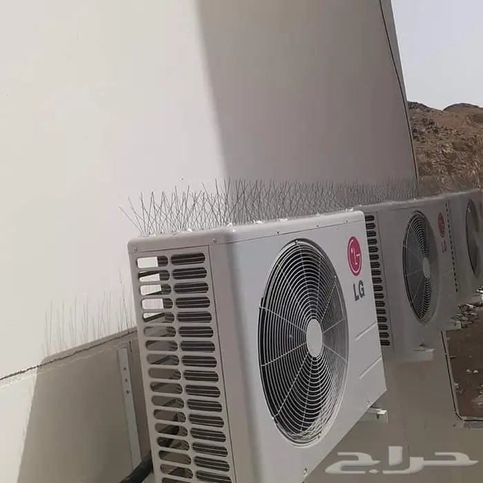 شركة مكافحة الحمام بتبوك 6