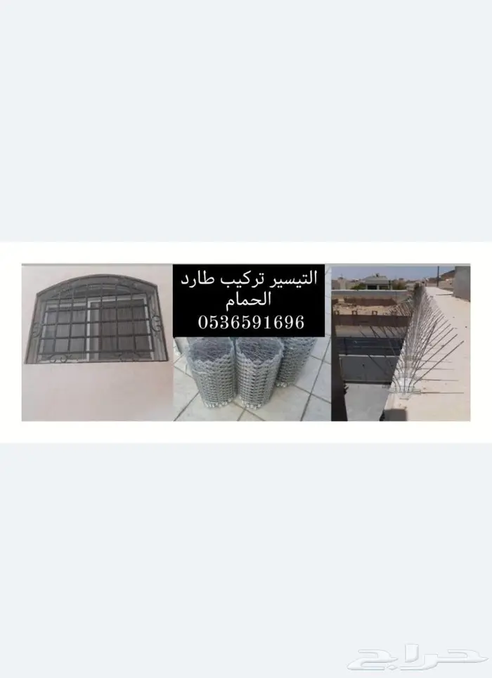 شركة مكافحة الحمام بتبوك 10