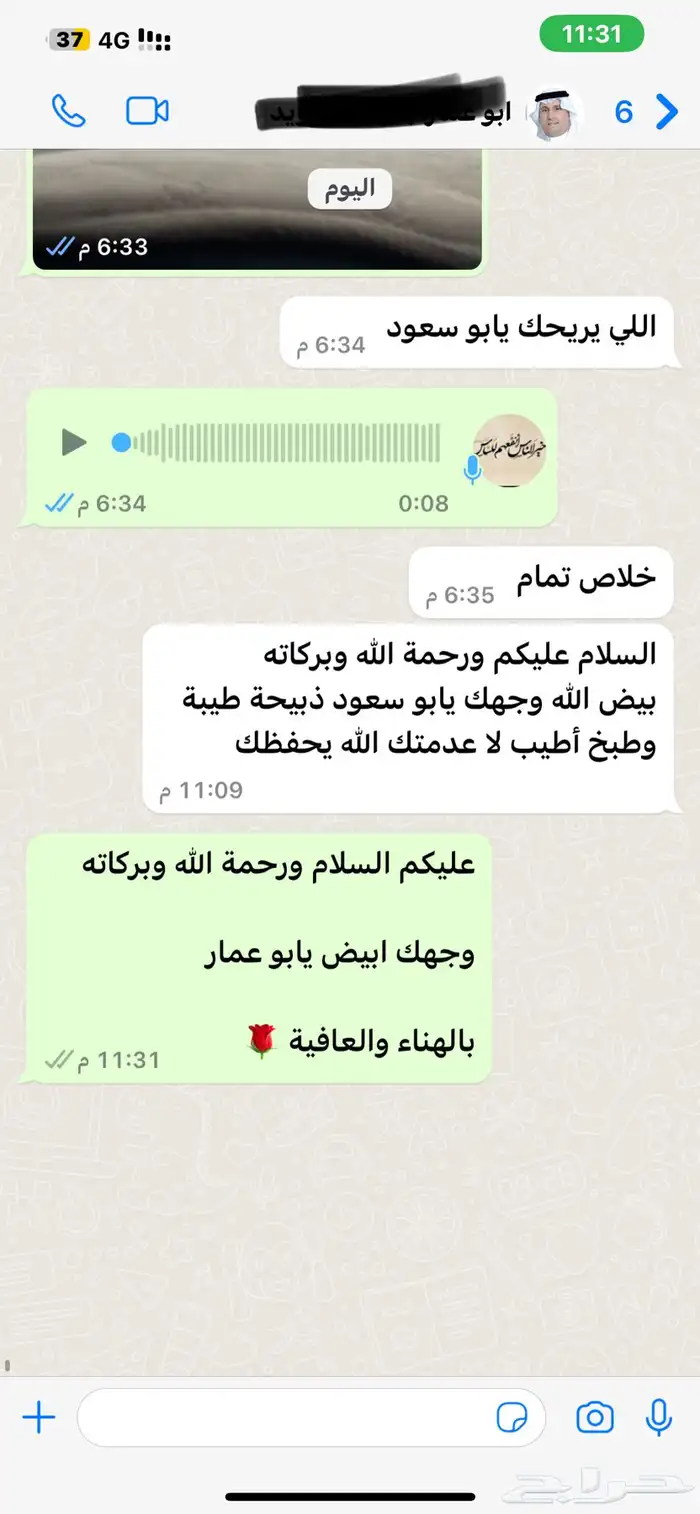 سواكني حمري تربية درجة اولى ثلاجات- مناسبات- زواجات- عقائق 30