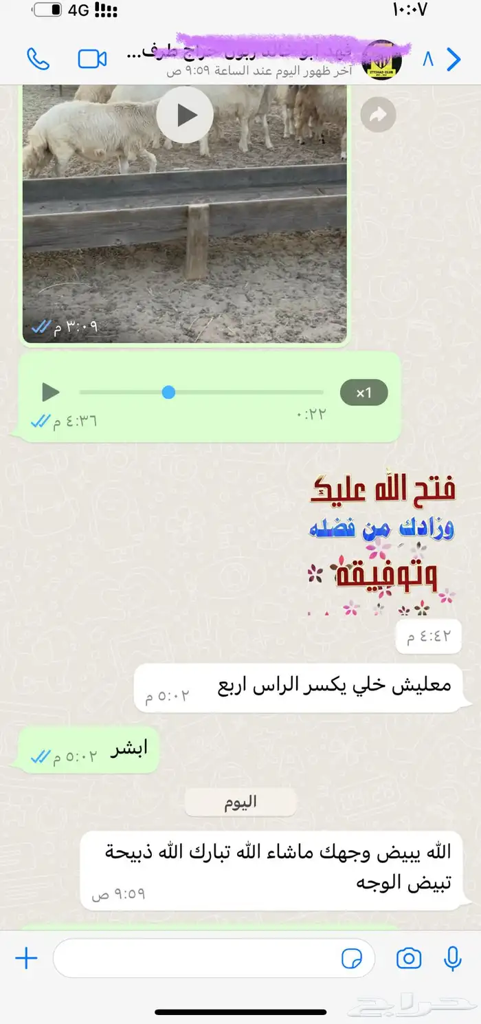 سواكني حمري تربية درجة اولى ثلاجات- مناسبات- زواجات- عقائق 75