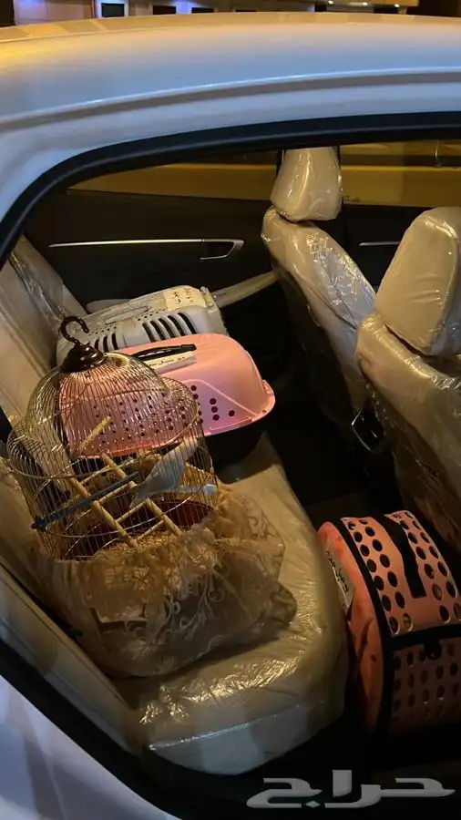 توصيل حيوانات طرود هدايا من جدة للرياض 7