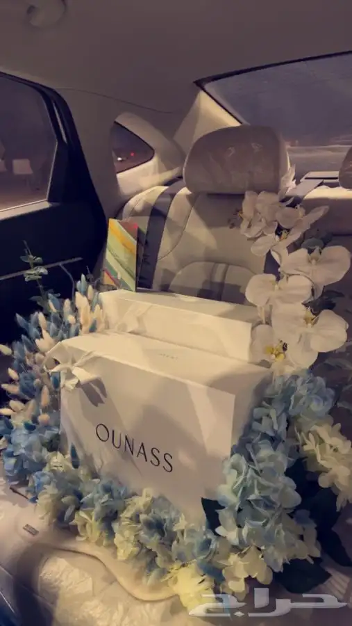 توصيل حيوانات طرود هدايا من جدة للرياض 6