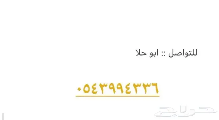 باص بضاعة للايجار 2