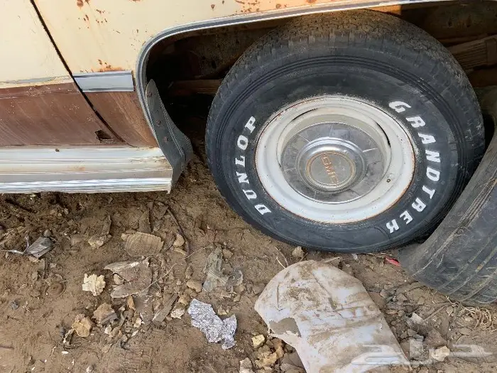 جمس83 2