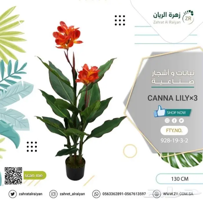 اشجار طبيعية وصناعية 2