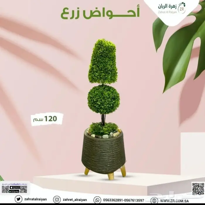 اشجار طبيعية وصناعية 3