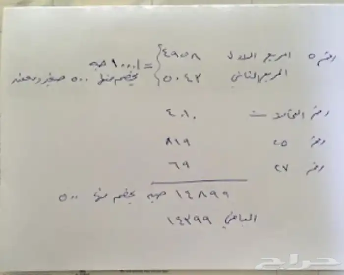 اشجار زيتون معمر قسم الزراعه لدى الشركه 11