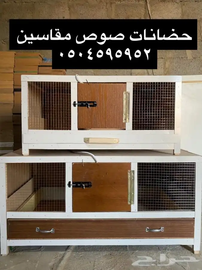 حضانات صوص دجاج فروخ دجاج لمبه سقايه علافه بيشه 0