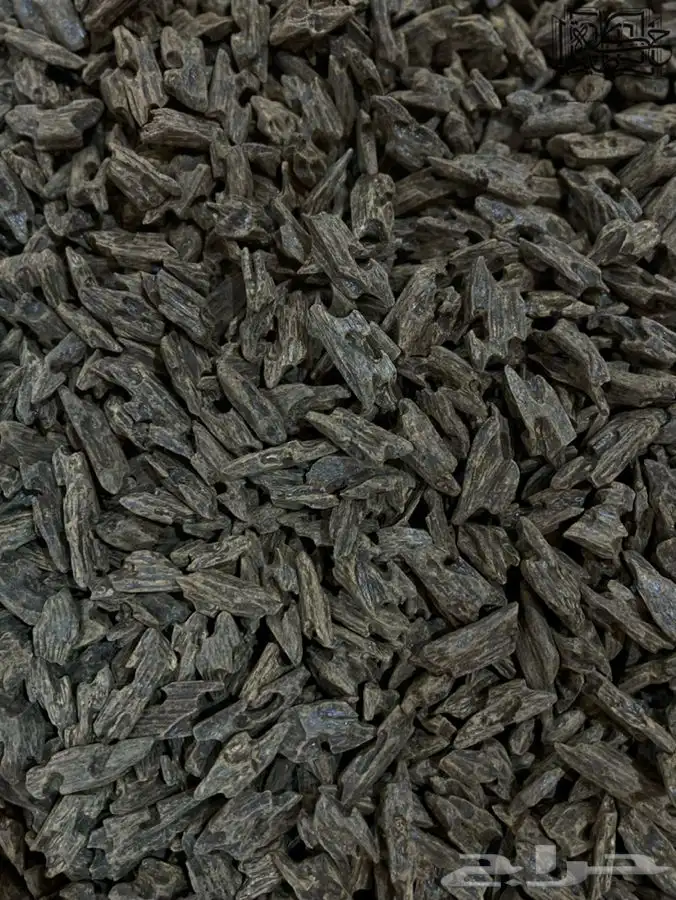 عود كلمنتان بنتلي طبيعي محسن فاخر 3