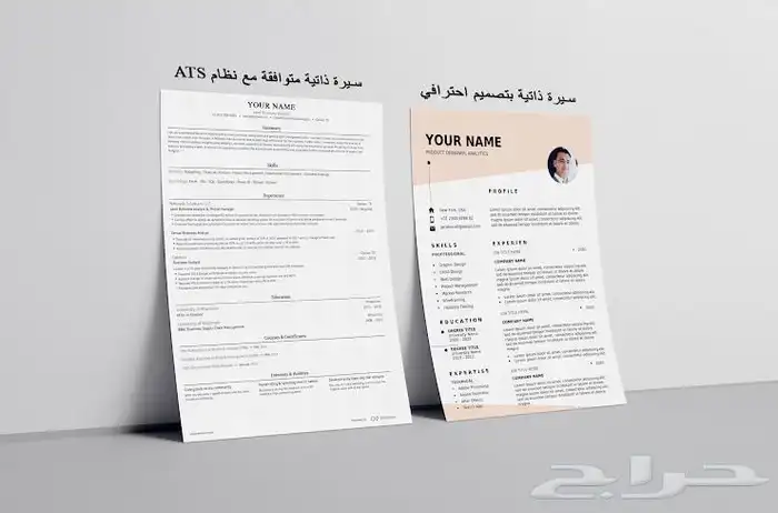 سيرة ذاتية احترافية 0