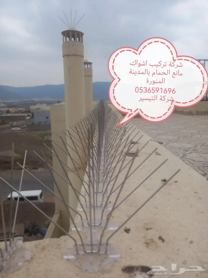 شركة مكافحة الطيور بالمدينة المنورة 5