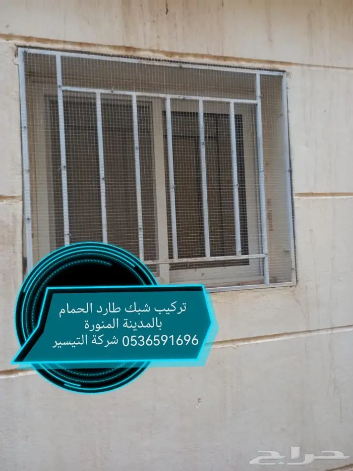 شركة مكافحة الطيور بالمدينة المنورة 8