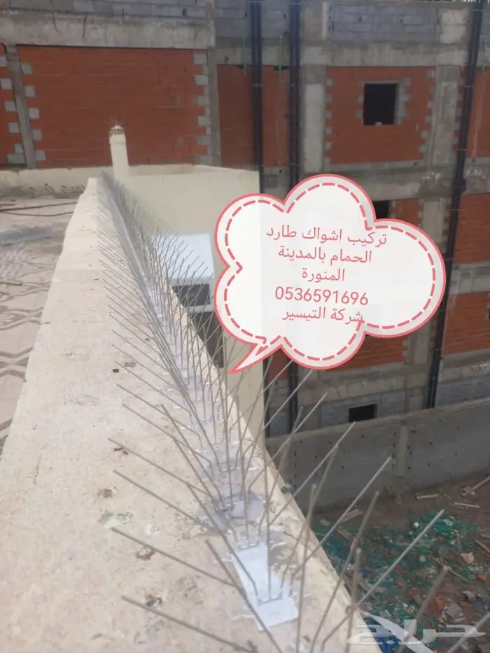 شركة مكافحة الطيور بالمدينة المنورة 10