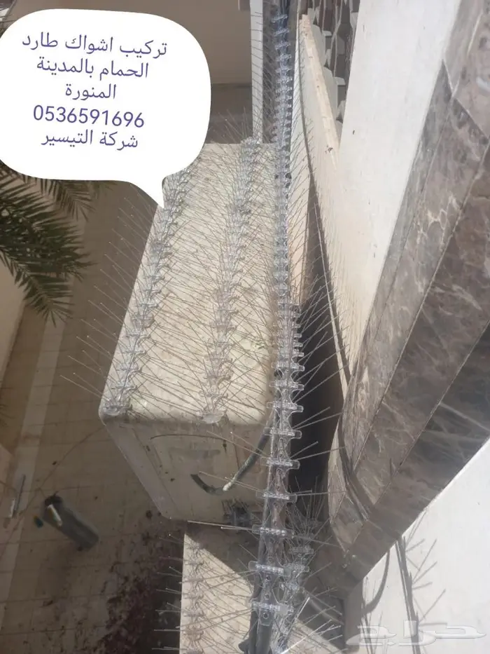 شركة مكافحة الطيور بالمدينة المنورة 12