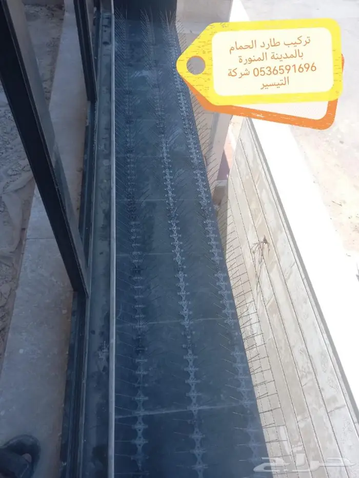 شركة مكافحة الطيور بالمدينة المنورة 13
