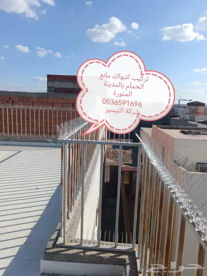 شركة مكافحة الطيور بالمدينة المنورة 14