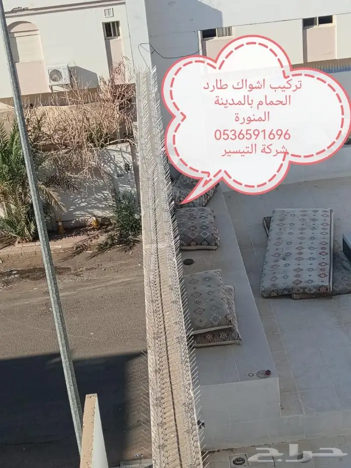 شركة مكافحة الطيور بالمدينة المنورة 19