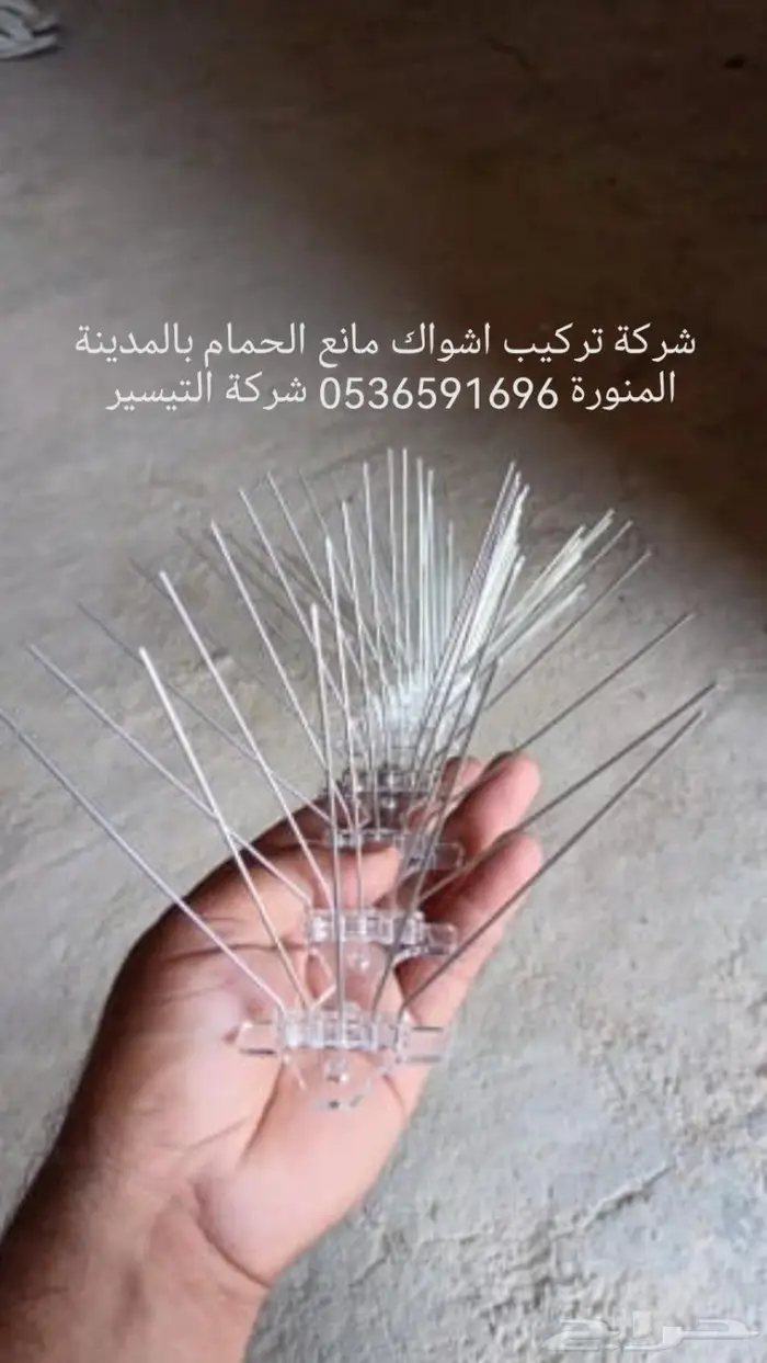 شركة مكافحة الطيور بالمدينة المنورة 18