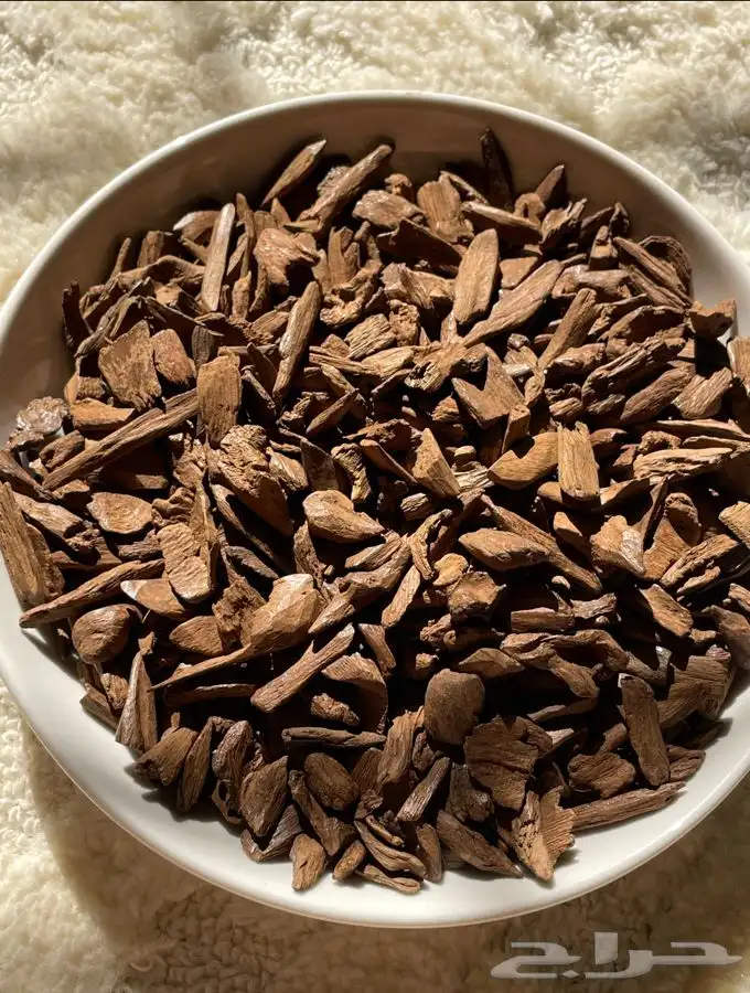 عود مروكي اصقون 3