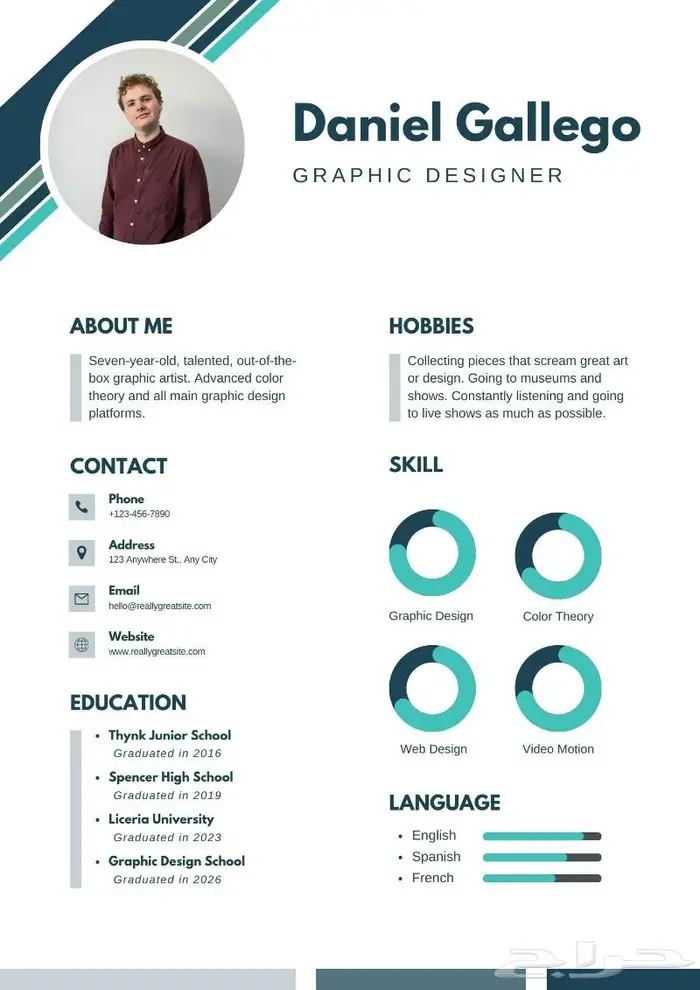 تصميم سيرة ذاتية احترافية CV 4
