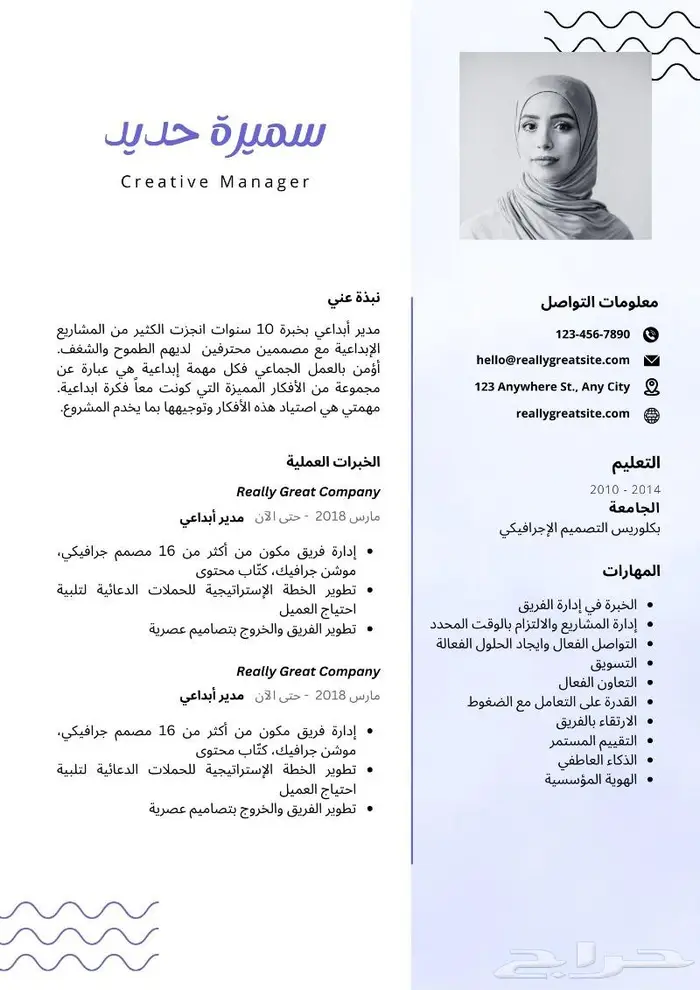 تصميم سيرة ذاتية احترافية CV 7