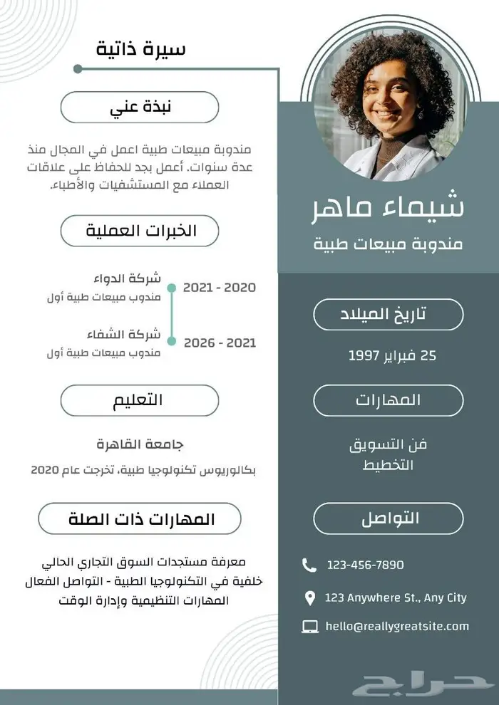 تصميم سيرة ذاتية احترافية CV 6