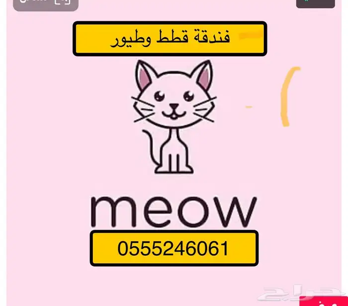 شاهد التقييمات - فندقة قطط و طيور في سفركم 0