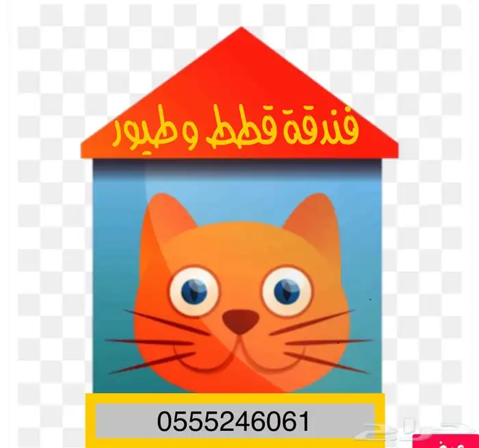 شاهد التقييمات - فندقة قطط و طيور في سفركم 2