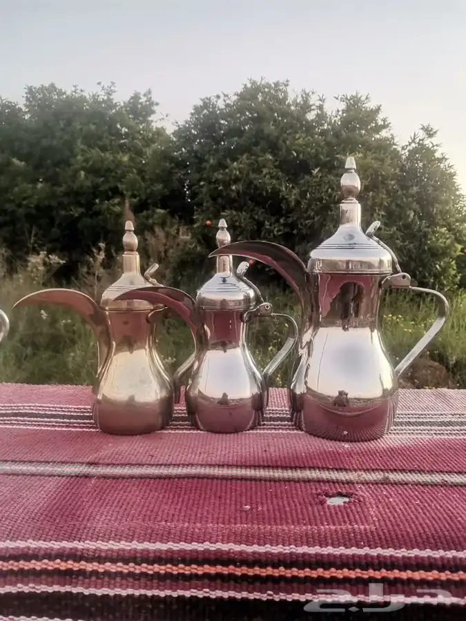 دلال السيف كورية 4