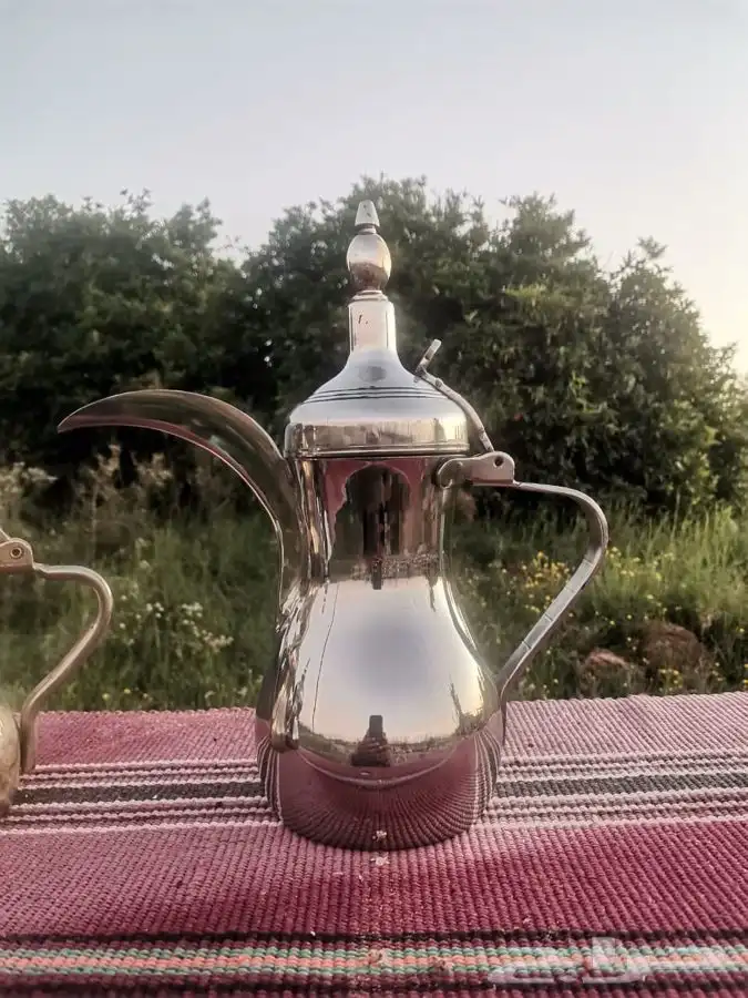 دلال السيف كورية 6
