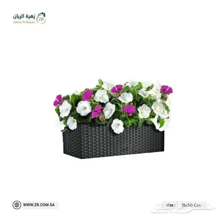 احواض زرع مميزة من زهرة الريان 27