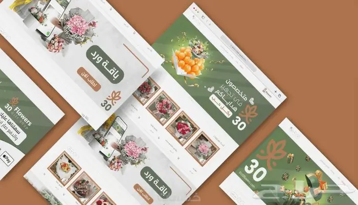 اطلق متجرك على سلة او زاد الان 2