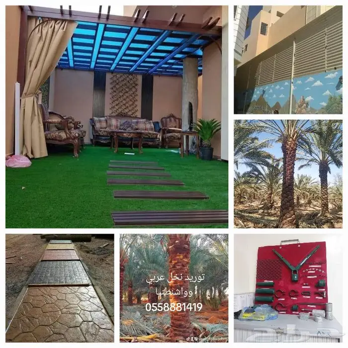 شبوك جدة والرياض 7